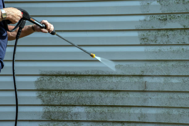 Best Concrete Pressure Washing  in Clayton, IN